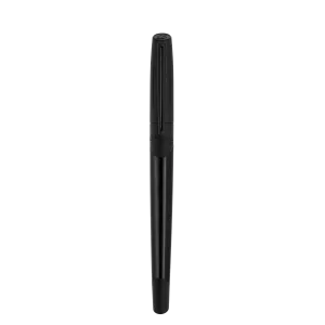 Fountain pen